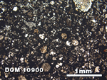 Thin Section Photo of Sample DOM 10900 at 2.5X Magnification in Plane-Polarized Light