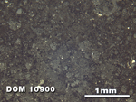 Thin Section Photo of Sample DOM 10900 at 2.5X Magnification in Reflected Light