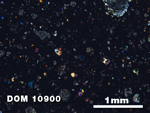 Thin Section Photo of Sample DOM 10900 at 2.5X Magnification in Cross-Polarized Light