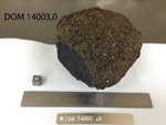 Lab Photo of Sample DOM 14003 Displaying East Orientation