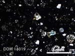Thin Section Photo of Sample DOM 14019 in Plane-Polarized Light with 2.5X Magnification