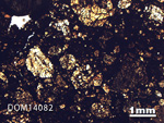 Thin Section Photo of Sample DOM 14082 in Plane-Polarized Light with 1.25X Magnification