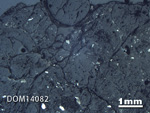 Thin Section Photo of Sample DOM 14082 in Reflected Light with 1.25X Magnification