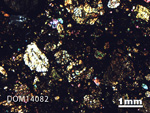 Thin Section Photo of Sample DOM 14082 in Cross-Polarized Light with 1.25X Magnification