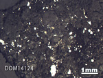 Thin Section Photo of Sample DOM 14124 in Reflected Light with 1.25X Magnification