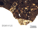 Thin Section Photo of Sample DOM 14125 in Plane-Polarized Light with 1.25X Magnification