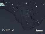 Thin Section Photo of Sample DOM 14125 in Reflected Light with 1.25X Magnification