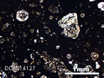 Thin Section Photo of Sample DOM 14127 in Plane-Polarized Light with 2.5X Magnification