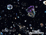 Thin Section Photo of Sample DOM 14127 in Cross-Polarized Light with 2.5X Magnification