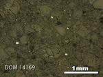 Thin Section Photo of Sample DOM 14169 in Reflected Light with 2.5X Magnification