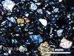 Thin Section Photo of Sample DOM 14169 in Cross-Polarized Light with 2.5X Magnification
