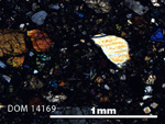 Thin Section Photo of Sample DOM 14169 in Cross-Polarized Light with 5X Magnification