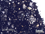 Thin Section Photo of Sample DOM 14201 in Plane-Polarized Light with 1.25X Magnification