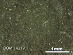Thin Section Photo of Sample DOM 14219 in Reflected Light with 2.5X Magnification