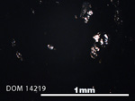 Thin Section Photo of Sample DOM 14219 in Plane-Polarized Light with 5X Magnification