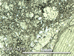 Thin Section Photo of Sample DOM 14238 in Reflected Light with 5X Magnification
