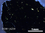 Thin Section Photo of Sample DOM 14239 in Cross-Polarized Light with 2.5X Magnification