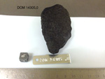 Lab Photo of Sample DOM 14305 Displaying East Orientation