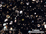 Thin Section Photo of Sample DOM 14305 in Cross-Polarized Light with 2.5X Magnification