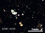 Thin Section Photo of Sample DOM 14359 in Cross-Polarized Light with 2.5X Magnification