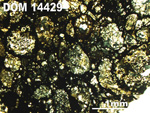 Thin Section Photo of Sample DOM 14429 in Plane-Polarized Light with 2.5X Magnification