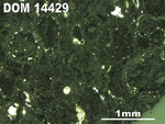 Thin Section Photo of Sample DOM 14429 in Reflected Light with 2.5X Magnification