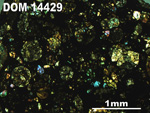 Thin Section Photo of Sample DOM 14429 in  with 2.5X Magnification