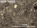 Thin Section Photo of Sample DOM 14429 in Reflected Light with 5X Magnification