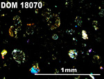 Thin Section Photo of Sample DOM 18070 in Cross-Polarized Light with 5X Magnification