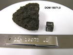 Lab Photo of Sample DOM 18071 Displaying East Orientation