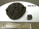 Lab Photo of Sample DOM 18071 Displaying South Orientation