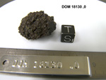Lab Photo of Sample DOM 18130 Displaying South Orientation