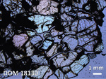 Thin Section Photo of Sample DOM 18130 in Plane-Polarized Light with 1.25X Magnification