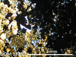 Thin Section Photo of Sample DOM 18160 in Plane-Polarized Light with 2.5X Magnification