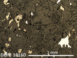 Thin Section Photo of Sample DOM 18160 in Reflected Light with 2.5X Magnification