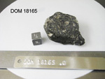 Lab Photo of Sample DOM 18165 Displaying Top North Orientation