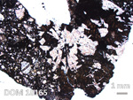Thin Section Photo of Sample DOM 18165 in Plane-Polarized Light with 1.25X Magnification