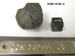 Lab Photo of Sample DOM 18166 Displaying East Orientation