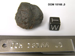 Lab Photo of Sample DOM 18166 Displaying West Orientation