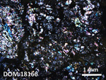 Thin Section Photo of Sample DOM 18166 in Cross-Polarized Light with 2.5X Magnification