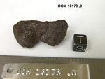 Lab Photo of Sample DOM 18173 Displaying South Orientation