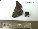 Lab Photo of Sample DOM 18173 Displaying West Orientation