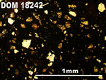 Thin Section Photo of Sample DOM 18242 in Plane-Polarized Light with 5X Magnification