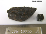 Lab Photo of Sample DOM 18255 Displaying South Orientation