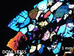 Thin Section Photo of Sample DOM 18255 in Cross-Polarized Light with 1.25X Magnification