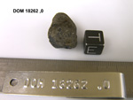Lab Photo of Sample DOM 18262 Displaying East Orientation