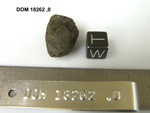 Lab Photo of Sample DOM 18262 Displaying West Orientation