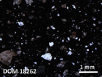Thin Section Photo of Sample DOM 18262 in Plane-Polarized Light with 2.5X Magnification