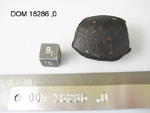 Lab Photo of Sample DOM 18286 Displaying Bottom South Orientation