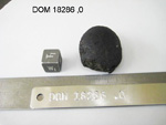Lab Photo of Sample DOM 18286 Displaying Top West Orientation